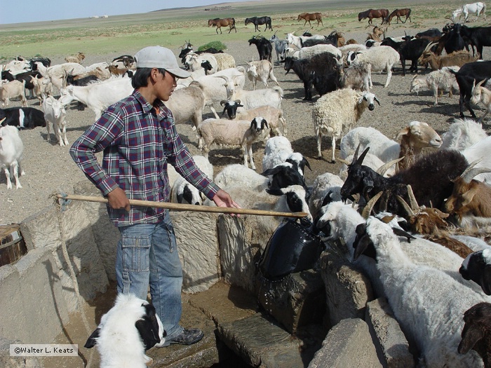 At the Well, Gobi Desert, Mongolia